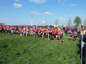 开云app-青少年体育运动社会支持系统研究，青少年体育运动社会支持系统研究现状